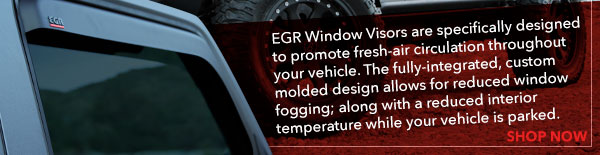 EGR Window Visors