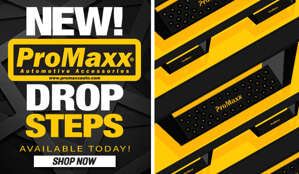 ProMaxx Steps