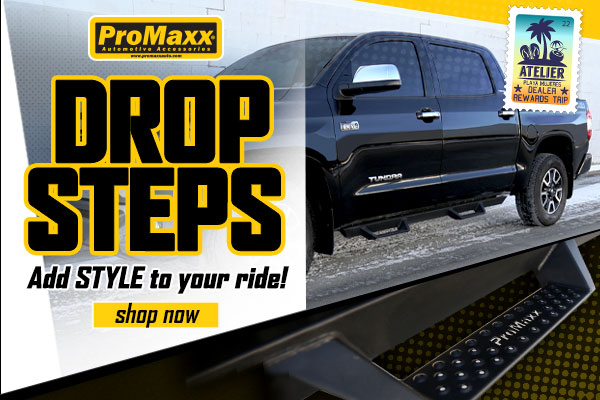 ProMaxx Drop Steps